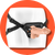 Страпони